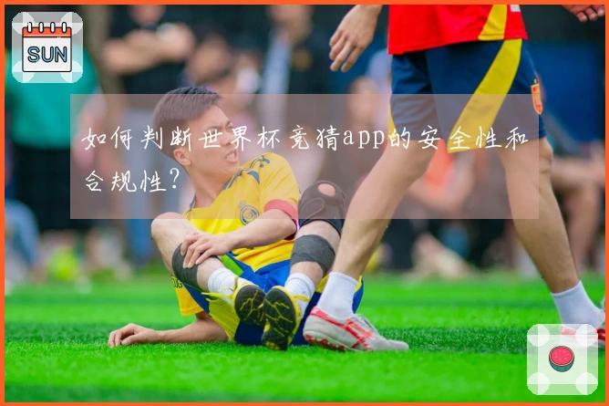 如何判断世界杯竞猜app的安全性和合规性？