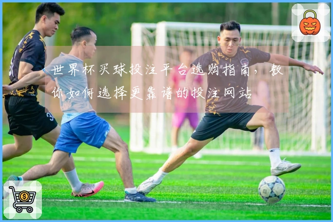 世界杯买球投注平台选购指南,教你如何选择更靠谱的投注网站