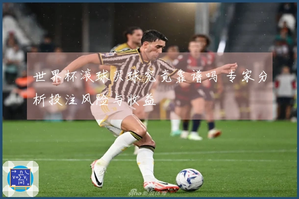 世界杯滚球买球究竟靠谱吗 专家分析投注风险与收益