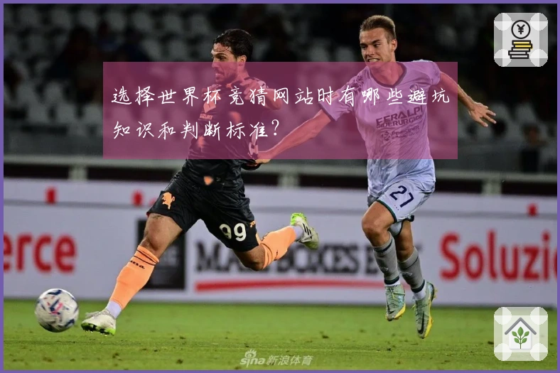 选择世界杯竞猜网站时有哪些避坑知识和判断标准？