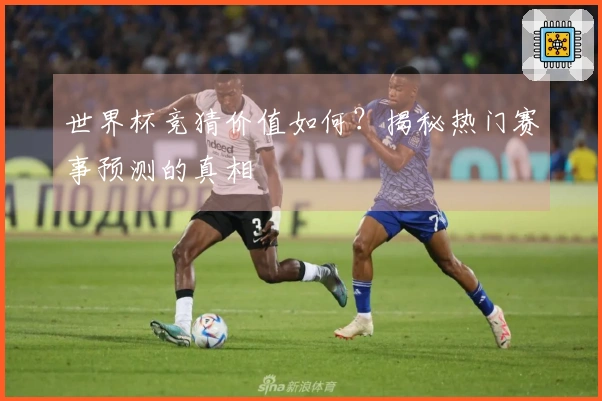 世界杯竞猜价值如何？揭秘热门赛事预测的真相
