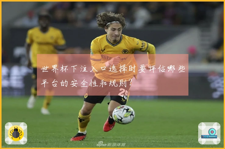 世界杯下注入口选择时要评估哪些平台的安全性和规则？