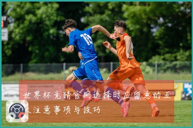 世界杯竞猜官网选择时应留意的五大注意事项与技巧