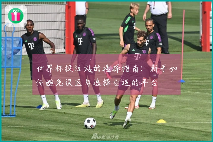 世界杯投注站的选择指南：新手如何避免误区与选择合适的平台