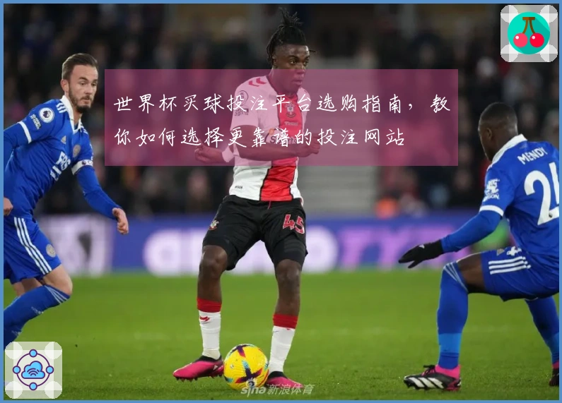 世界杯买球投注平台选购指南，教你如何选择更靠谱的投注网站