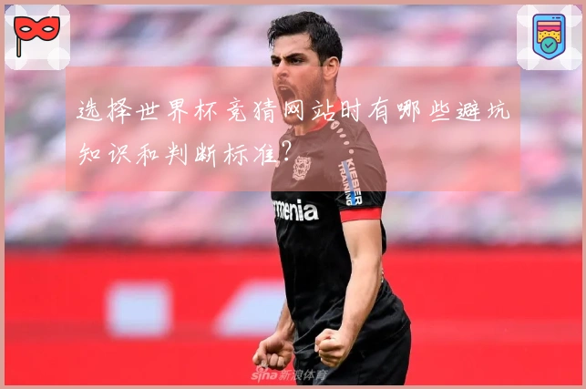 选择世界杯竞猜网站时有哪些避坑知识和判断标准?